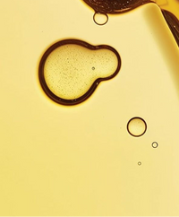 Bifida Ferment Lysate