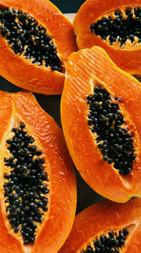 Lactobacillus/Papaya Fruit Ferment
