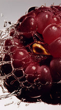 Red Raspberry Seed Oil