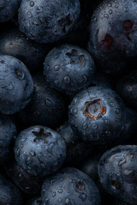 Blueberry Seed Oil