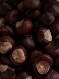 Horse Chestnut Extract