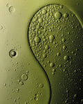 Polyglyceryl-4 Oleate