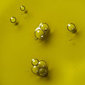 Hemp Seed Oil